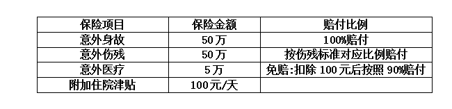 霍山縣殯儀館和城市公益性公墓一期后續(xù)配套工程設計-采購-施工（EPC）總承包項目團意險采購公告