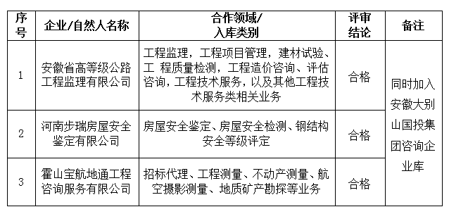 安徽大別山工程咨詢有限公司合作伙伴招募結果公告(十一)