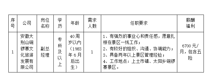 安徽大別山銅鑼寨文化旅游發(fā)展有限公司公開招聘臨時(shí)工作人員公告（一）