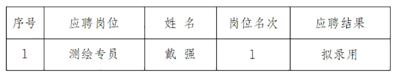 安徽大別山工程咨詢(xún)有限公司2024年招聘臨時(shí)工作人員擬錄用公示