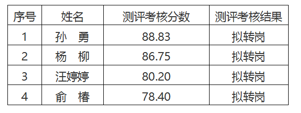 安徽大別山工程咨詢有限公司2024年臨時員工擇優(yōu)轉崗測評考核結果公示