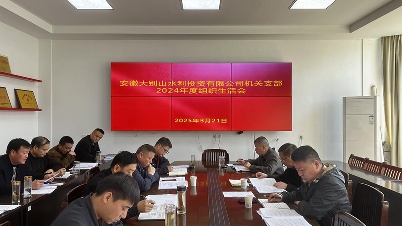 水投公司機(jī)關(guān)支部召開(kāi)2024年度組織生活會(huì)