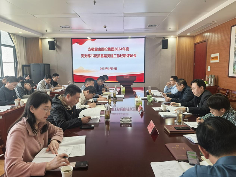 集團黨委組織開展2024年度黨支部書記抓基層黨建工作述職評議