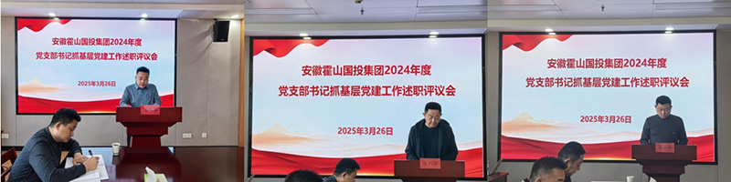 集團黨委組織開展2024年度黨支部書記抓基層黨建工作述職評議