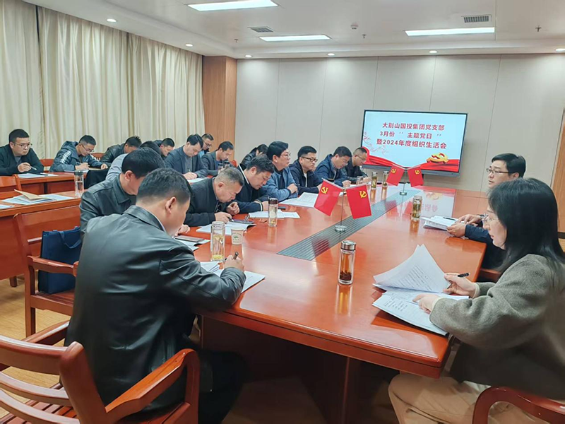 大別山國(guó)投集團(tuán)黨支部召開2024年度組織生活會(huì)